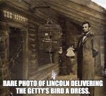 Wk 36 Lincoln Getty's Bird A Dress