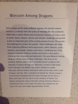 blosson-among-dragons-3